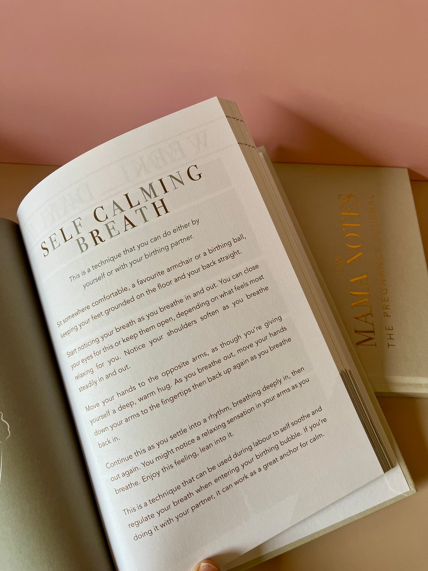 Mama Notes Pregnancy Journal